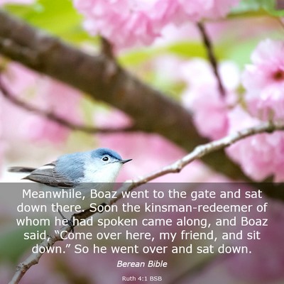 Picture 03 - Ruth 4:1 BSB - Meanwhile, Boaz went to the gate and sat down - Bible Verse Picture