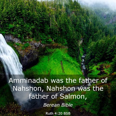 Picture 03 - Ruth 4:20 BSB - Amminadab was the father of Nahshon, Nahshon was - Bible Verse Picture