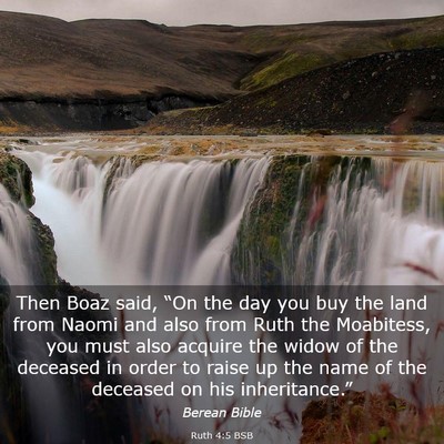 Picture 03 - Ruth 4:5 BSB - Then Boaz said, “On the day you buy the land - Bible Verse Picture
