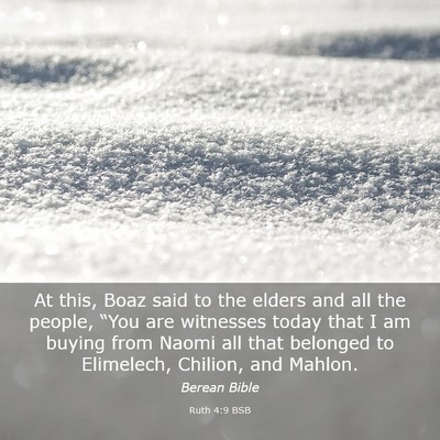Picture 03 - Ruth 4:9 BSB - At this, Boaz said to the elders and all the - Bible Verse Picture