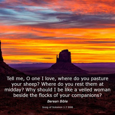 Picture 03 - Song of Solomon 1:7 BSB - Tell me, O one I love, where do you pasture your - Bible Verse Picture