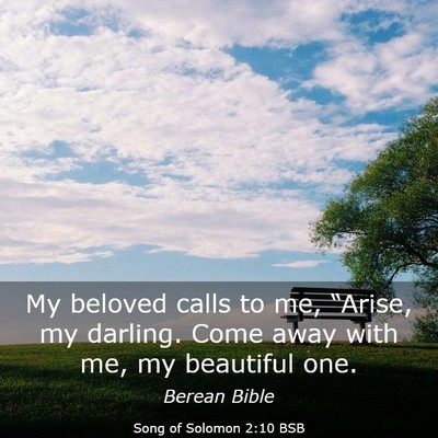 Picture 03 - Song of Solomon 2:10 BSB - My beloved calls to me, “Arise, my darling. - Bible Verse Picture