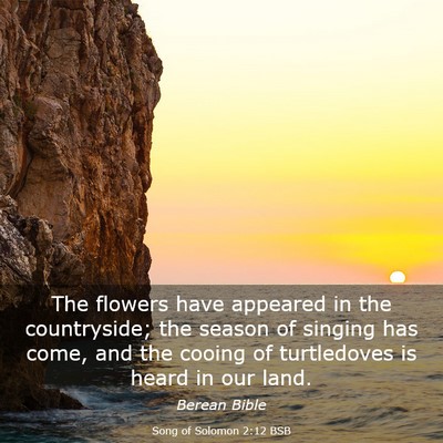 Picture 03 - Song of Solomon 2:12 BSB - The flowers have appeared in the countryside; the - Bible Verse Picture