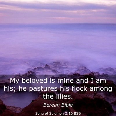 Picture 03 - Song of Solomon 2:16 BSB - My beloved is mine and I am his; he pastures his - Bible Verse Picture