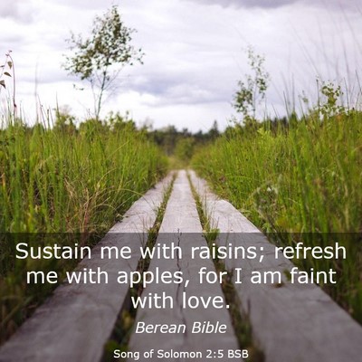 Picture 03 - Song of Solomon 2:5 BSB - Sustain me with raisins; refresh me with apples, - Bible Verse Picture