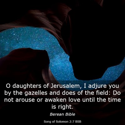 Picture 03 - Song of Solomon 2:7 BSB - O daughters of Jerusalem, I adjure you by the - Bible Verse Picture