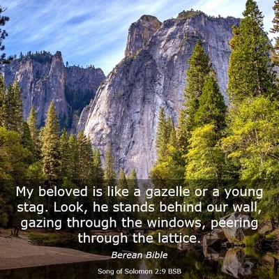 Picture 03 - Song of Solomon 2:9 BSB - My beloved is like a gazelle or a young stag. - Bible Verse Picture