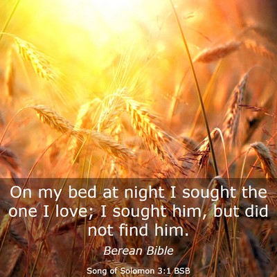 Picture 03 - Song of Solomon 3:1 BSB - On my bed at night I sought the one I love; I - Bible Verse Picture