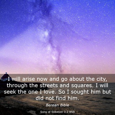 Picture 03 - Song of Solomon 3:2 BSB - I will arise now and go about the city, through - Bible Verse Picture