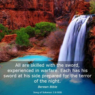 Picture 03 - Song of Solomon 3:8 BSB - All are skilled with the sword, experienced in - Bible Verse Picture