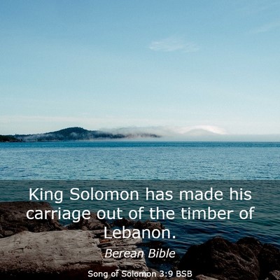 Picture 03 - Song of Solomon 3:9 BSB - King Solomon has made his carriage out of the - Bible Verse Picture