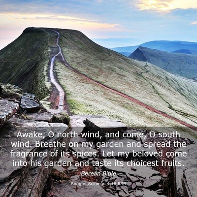 Picture 03 - Song of Solomon 4:16 BSB - Awake, O north wind, and come, O south wind. - Bible Verse Picture