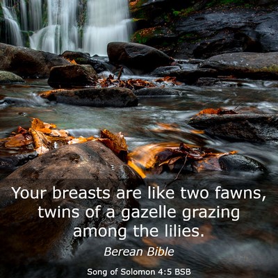 Picture 03 - Song of Solomon 4:5 BSB - Your breasts are like two fawns, twins of a - Bible Verse Picture