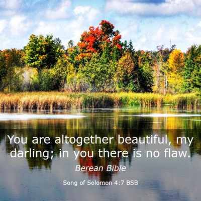 Picture 03 - Song of Solomon 4:7 BSB - You are altogether beautiful, my darling; in you - Bible Verse Picture
