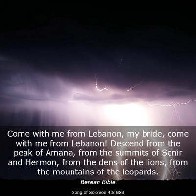 Picture 03 - Song of Solomon 4:8 BSB - Come with me from Lebanon, my bride, come with me - Bible Verse Picture