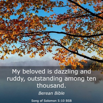 Picture 03 - Song of Solomon 5:10 BSB - My beloved is dazzling and ruddy, outstanding - Bible Verse Picture