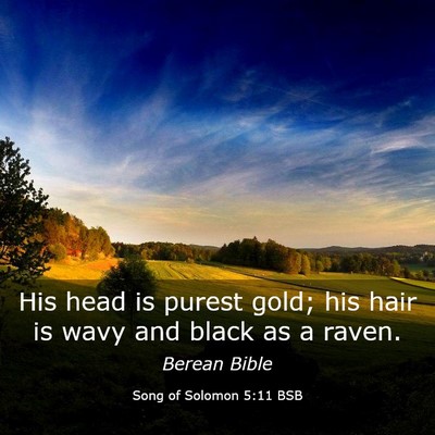 Picture 03 - Song of Solomon 5:11 BSB - His head is purest gold; his hair is wavy and - Bible Verse Picture