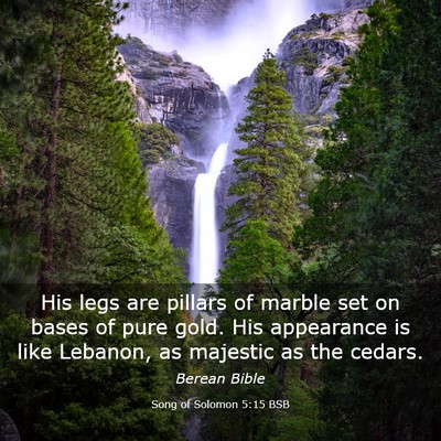 Picture 03 - Song of Solomon 5:15 BSB - His legs are pillars of marble set on bases of - Bible Verse Picture