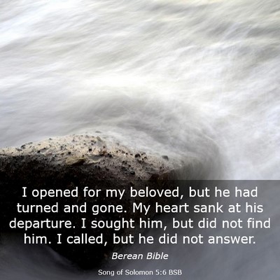 Picture 03 - Song of Solomon 5:6 BSB - I opened for my beloved, but he had turned and - Bible Verse Picture
