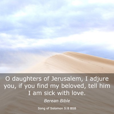 Picture 03 - Song of Solomon 5:8 BSB - O daughters of Jerusalem, I adjure you, if you - Bible Verse Picture