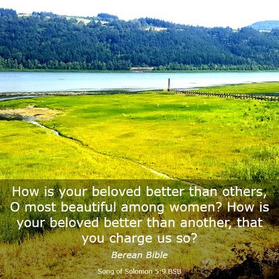 Picture 03 - Song of Solomon 5:9 BSB - How is your beloved better than others, O most - Bible Verse Picture