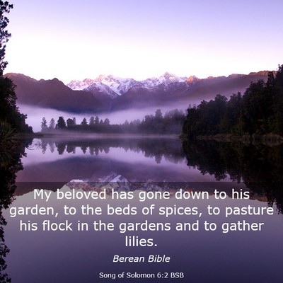 Picture 03 - Song of Solomon 6:2 BSB - My beloved has gone down to his garden, to the - Bible Verse Picture