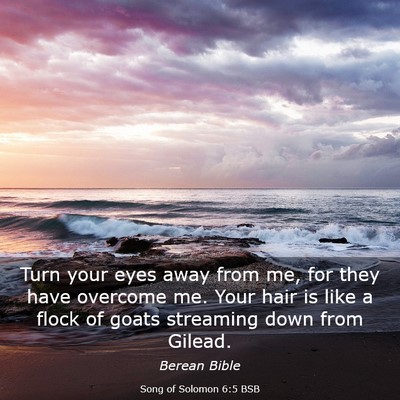 Picture 03 - Song of Solomon 6:5 BSB - Turn your eyes away from me, for they have - Bible Verse Picture