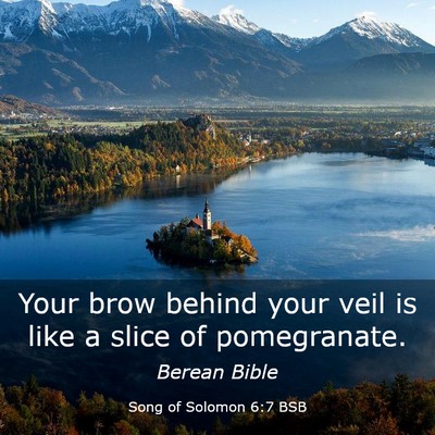 Picture 03 - Song of Solomon 6:7 BSB - Your brow behind your veil is like a slice of - Bible Verse Picture