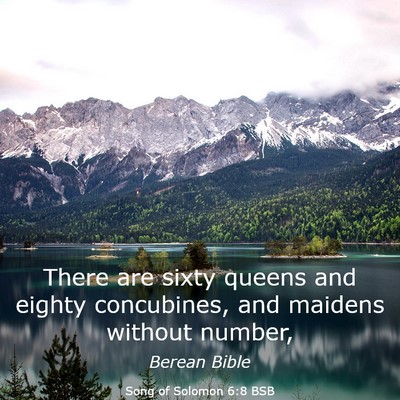 Picture 03 - Song of Solomon 6:8 BSB - There are sixty queens and eighty concubines, and - Bible Verse Picture
