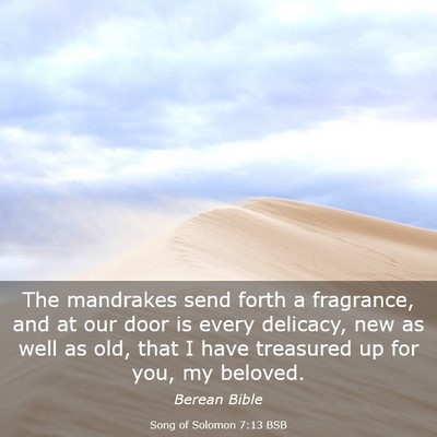 Picture 03 - Song of Solomon 7:13 BSB - The mandrakes send forth a fragrance, and at our - Bible Verse Picture