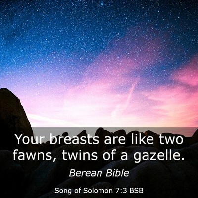 Picture 03 - Song of Solomon 7:3 BSB - Your breasts are like two fawns, twins of a - Bible Verse Picture
