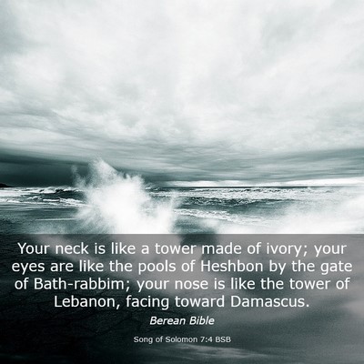 Picture 03 - Song of Solomon 7:4 BSB - Your neck is like a tower made of ivory; your - Bible Verse Picture