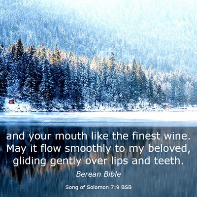 Picture 03 - Song of Solomon 7:9 BSB - and your mouth like the finest wine. May it flow - Bible Verse Picture