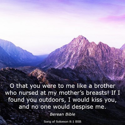 Picture 03 - Song of Solomon 8:1 BSB - O that you were to me like a brother who nursed - Bible Verse Picture