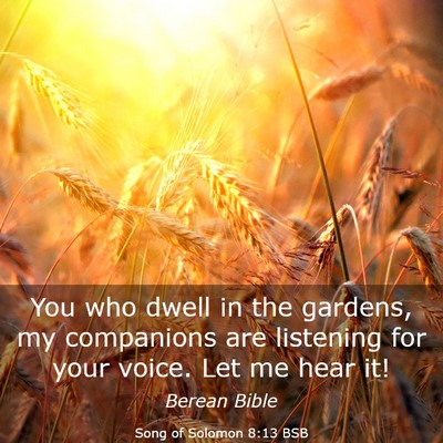 Picture 03 - Song of Solomon 8:13 BSB - You who dwell in the gardens, my companions are - Bible Verse Picture