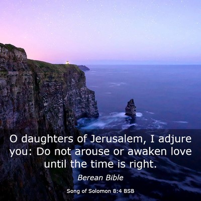 Picture 03 - Song of Solomon 8:4 BSB - O daughters of Jerusalem, I adjure you: Do not - Bible Verse Picture