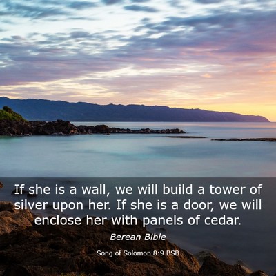 Picture 03 - Song of Solomon 8:9 BSB - If she is a wall, we will build a tower of silver - Bible Verse Picture