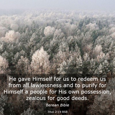Picture 03 - Titus 2:14 BSB - He gave Himself for us to redeem us from all - Bible Verse Picture