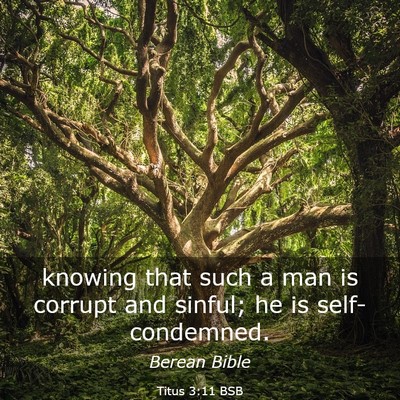 Picture 03 - Titus 3:11 BSB - knowing that such a man is corrupt and sinful; he - Bible Verse Picture