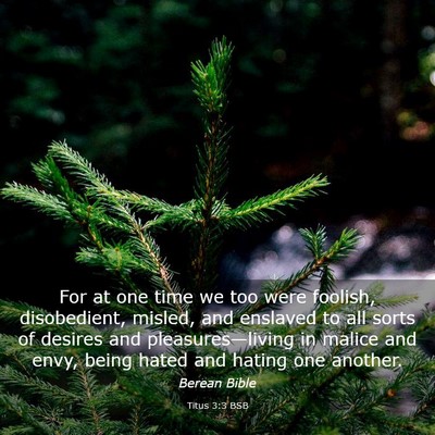 Picture 03 - Titus 3:3 BSB - For at one time we too were foolish, disobedient, - Bible Verse Picture