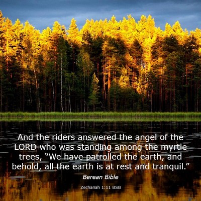 Picture 03 - Zechariah 1:11 BSB - And the riders answered the angel of the LORD who - Bible Verse Picture