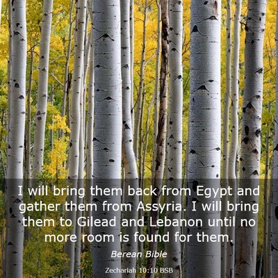 Picture 03 - Zechariah 10:10 BSB - I will bring them back from Egypt and gather them - Bible Verse Picture