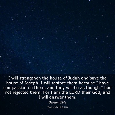 Picture 03 - Zechariah 10:6 BSB - I will strengthen the house of Judah and save the - Bible Verse Picture