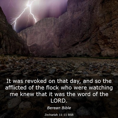 Picture 03 - Zechariah 11:11 BSB - It was revoked on that day, and so the afflicted - Bible Verse Picture