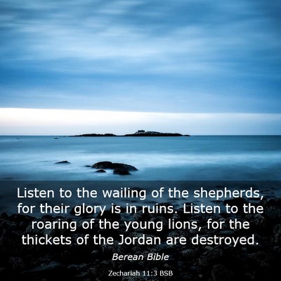 Picture 03 - Zechariah 11:3 BSB - Listen to the wailing of the shepherds, for their - Bible Verse Picture