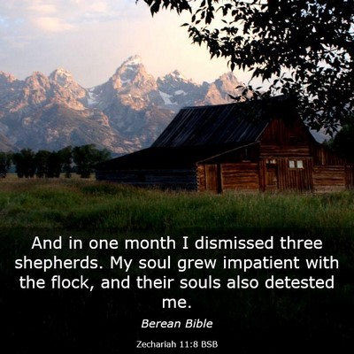 Picture 03 - Zechariah 11:8 BSB - And in one month I dismissed three shepherds. My - Bible Verse Picture