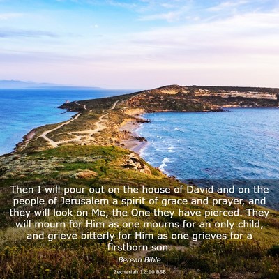 Picture 03 - Zechariah 12:10 BSB - Then I will pour out on the house of David and on - Bible Verse Picture