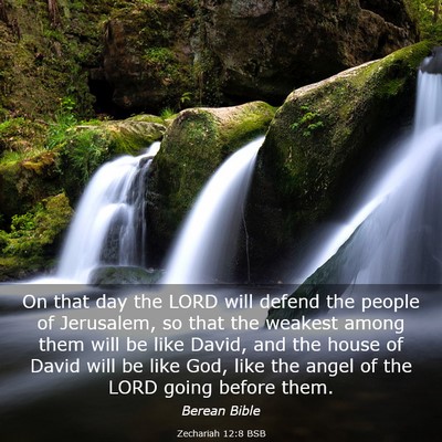 Picture 03 - Zechariah 12:8 BSB - On that day the LORD will defend the people of - Bible Verse Picture