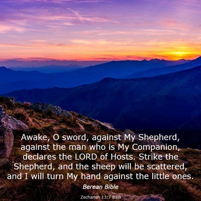 Picture 03 - Zechariah 13:7 BSB - Awake, O sword, against My Shepherd, against the - Bible Verse Picture