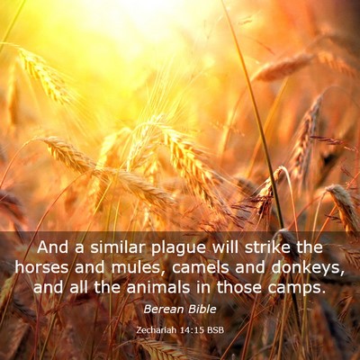 Picture 03 - Zechariah 14:15 BSB - And a similar plague will strike the horses and - Bible Verse Picture